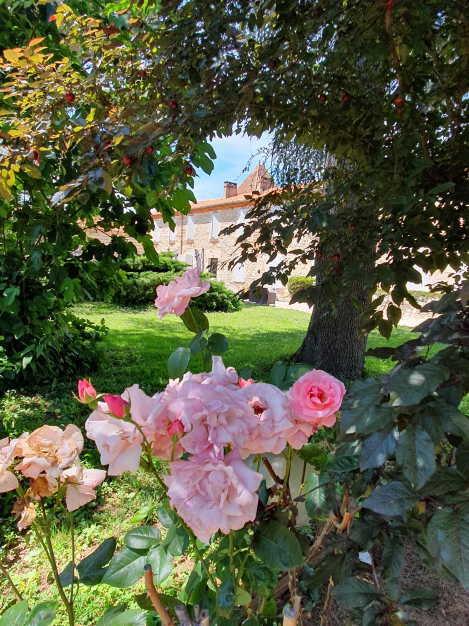 Logis Hotel Le Prince Noir Sérignac-sur-Garonne Esterno foto